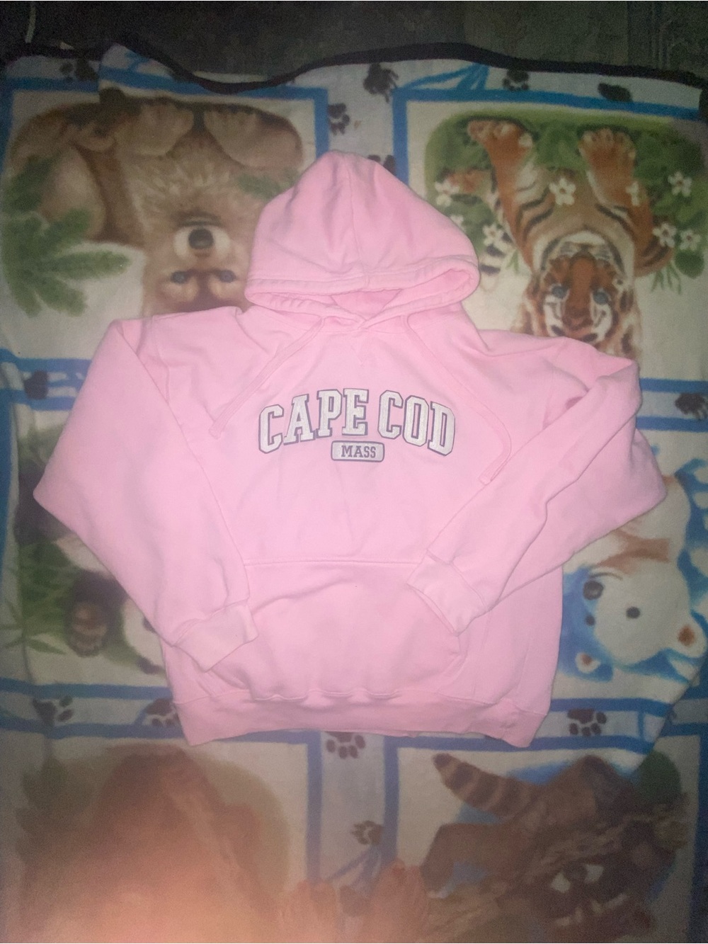 Cape Cod Mass Pink Pullover Hoodie - Classic Soft Hoodie